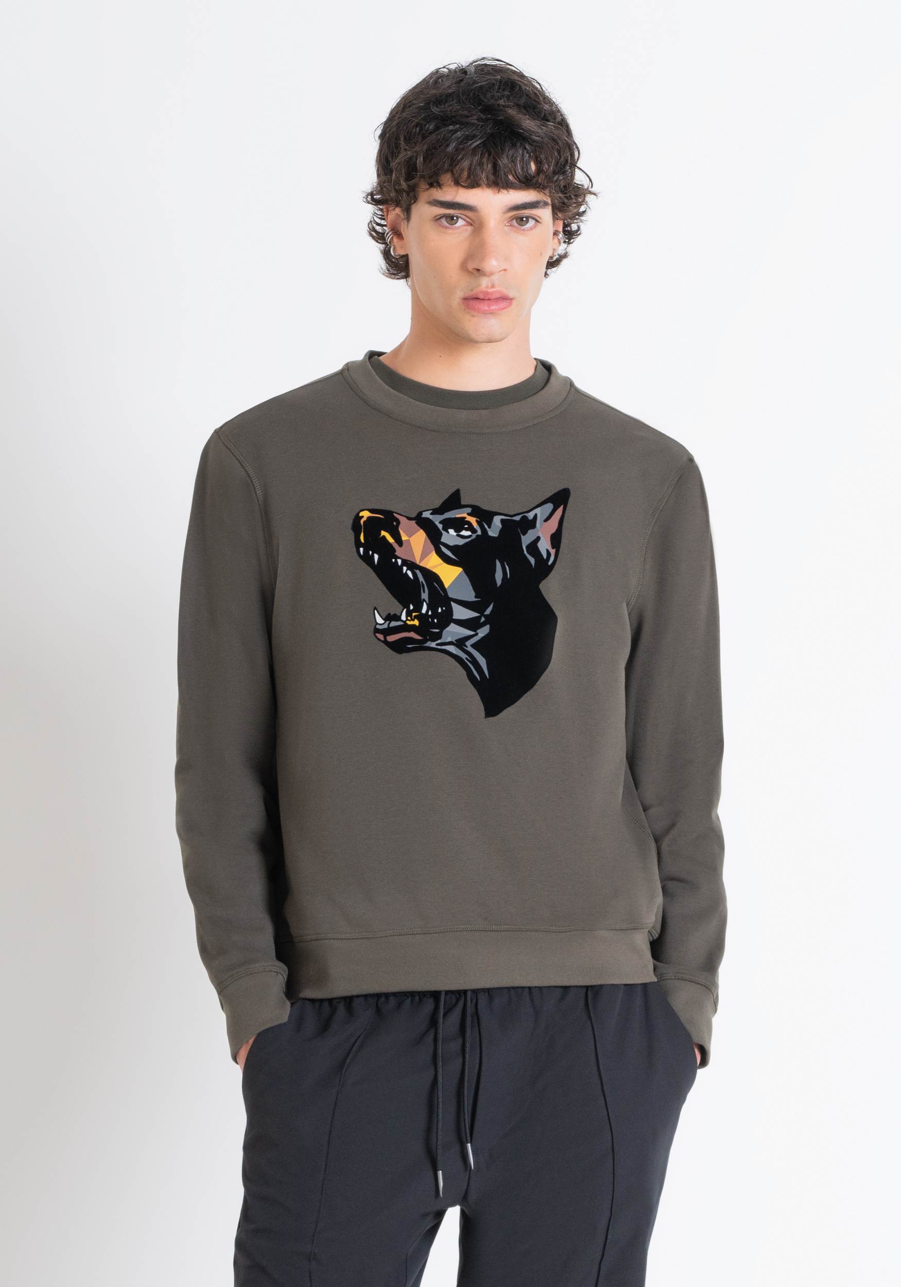 SUDADERA REGULAR FIT DE MEZCLA DE ALGODÓN VERDE Y ESTAMPADO DE DÓBERMAN