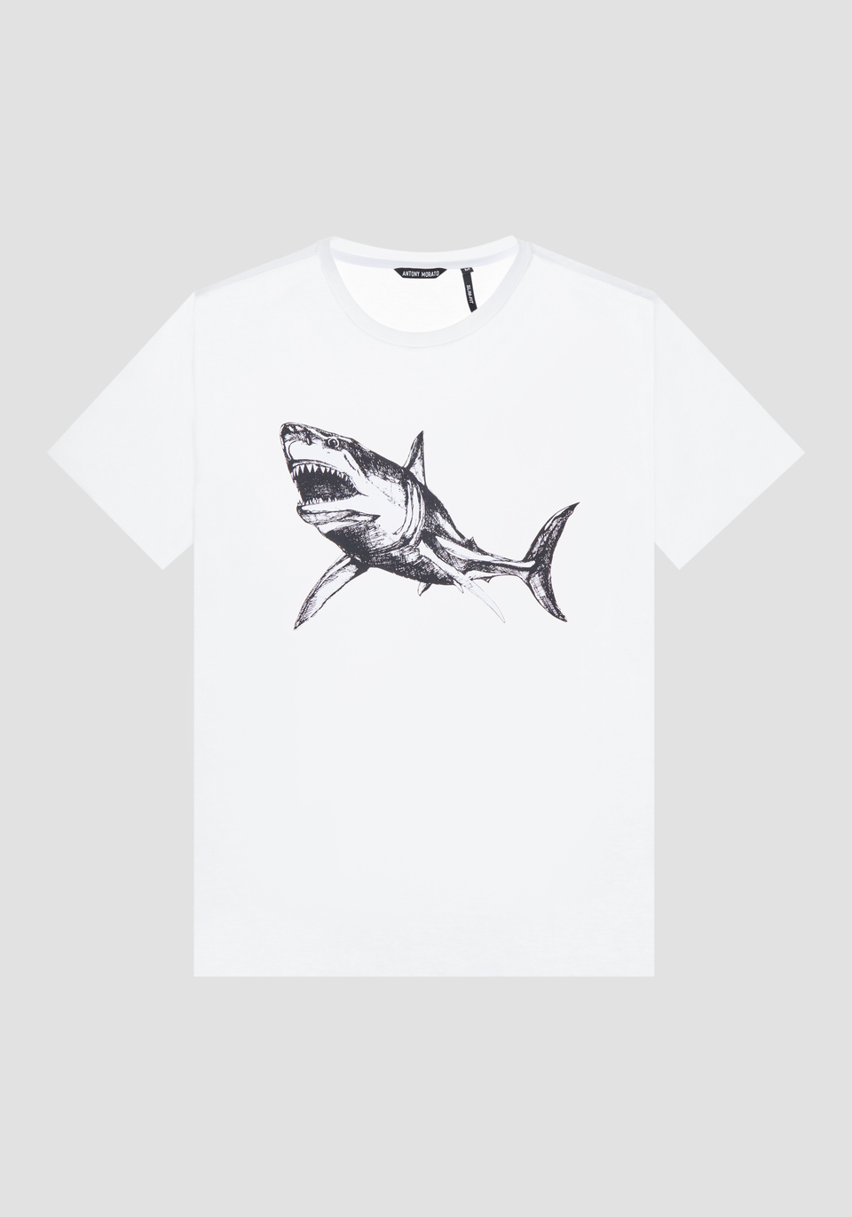 REGULAR-FIT T-SHIRT IN PURE COTTON WITH SHARK PRINT - Antony Morato Online Shop